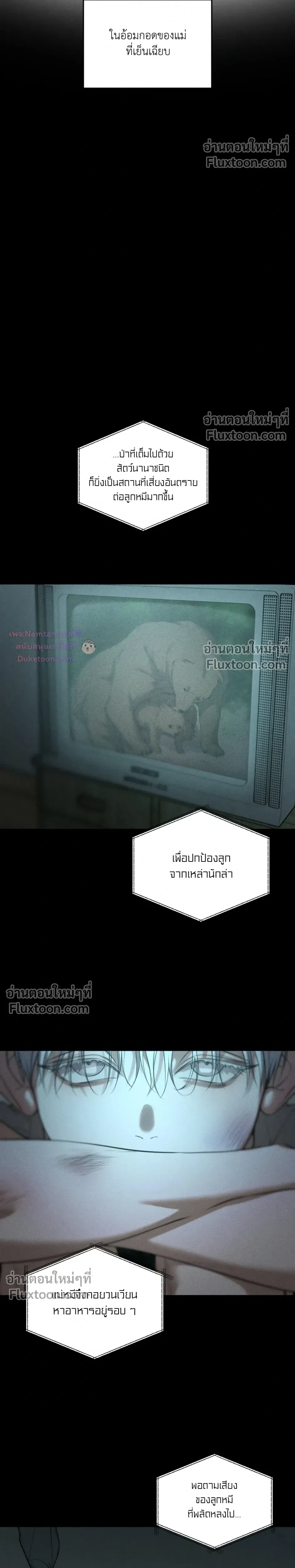 หน้าที่ 17