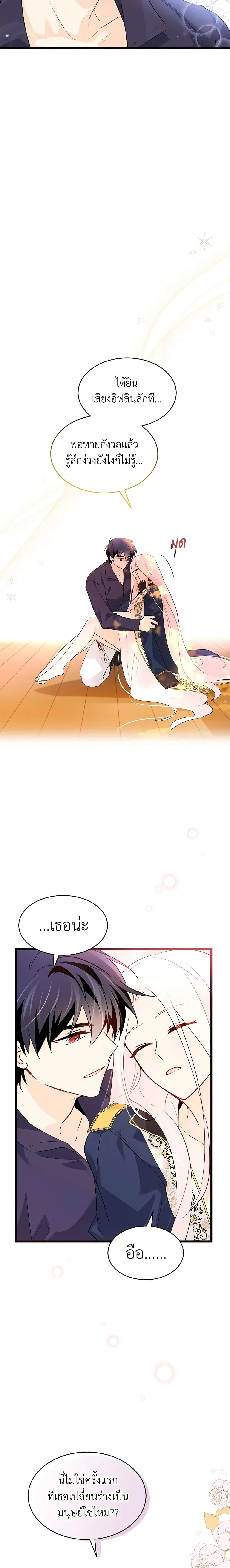 หน้าที่ 17