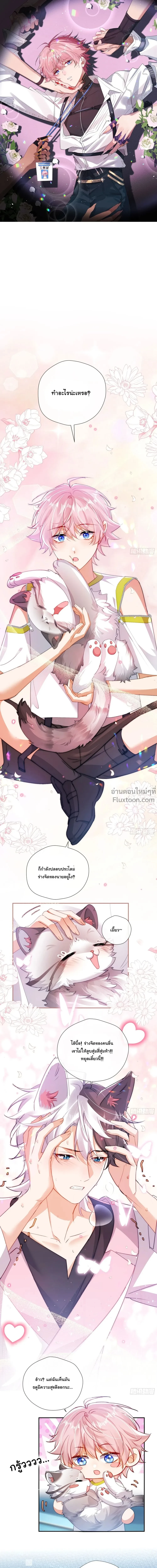 หน้าที่ 2