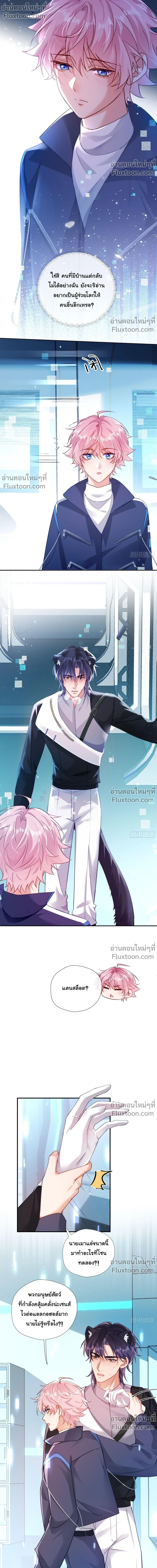 หน้าที่ 8