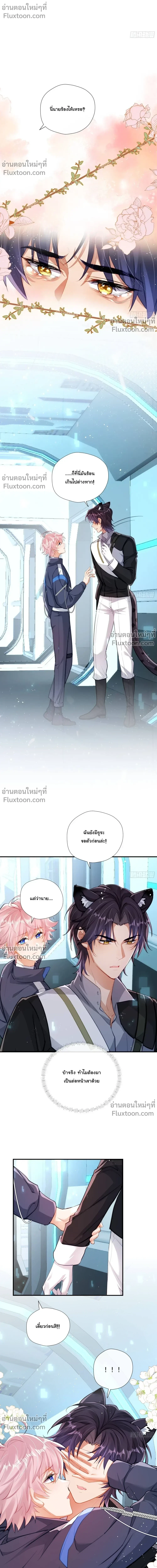 หน้าที่ 2