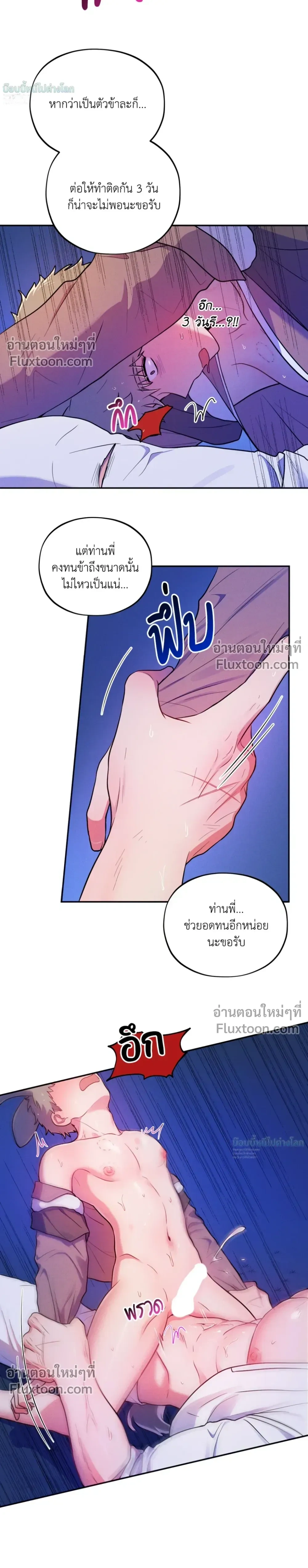 หน้าที่ 15