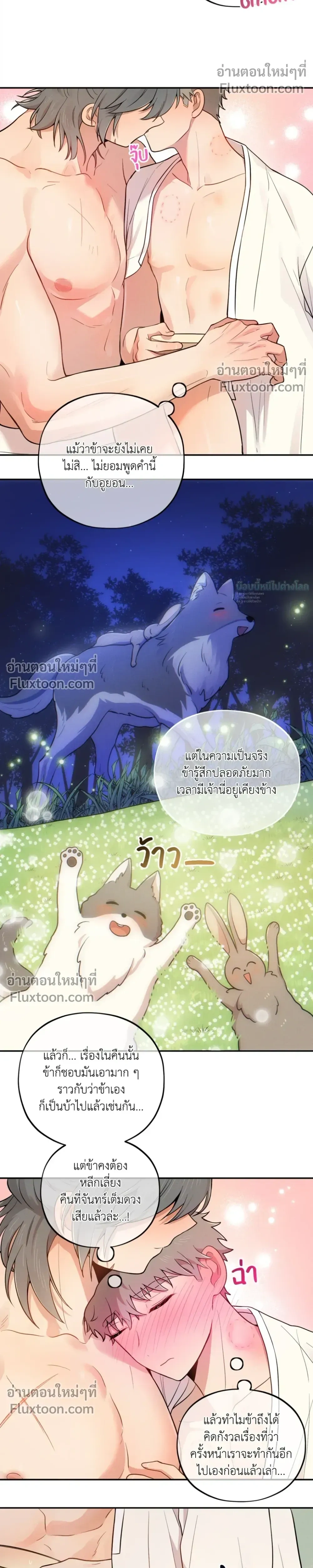 หน้าที่ 17