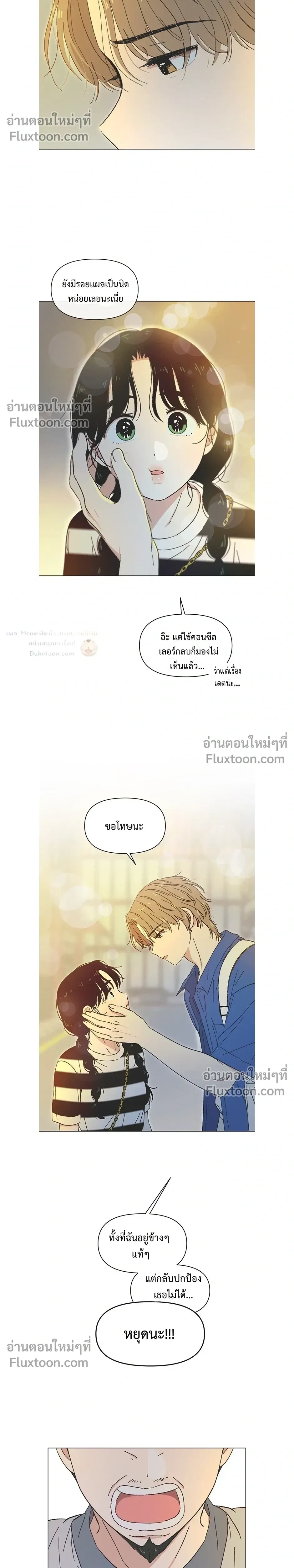 หน้าที่ 13