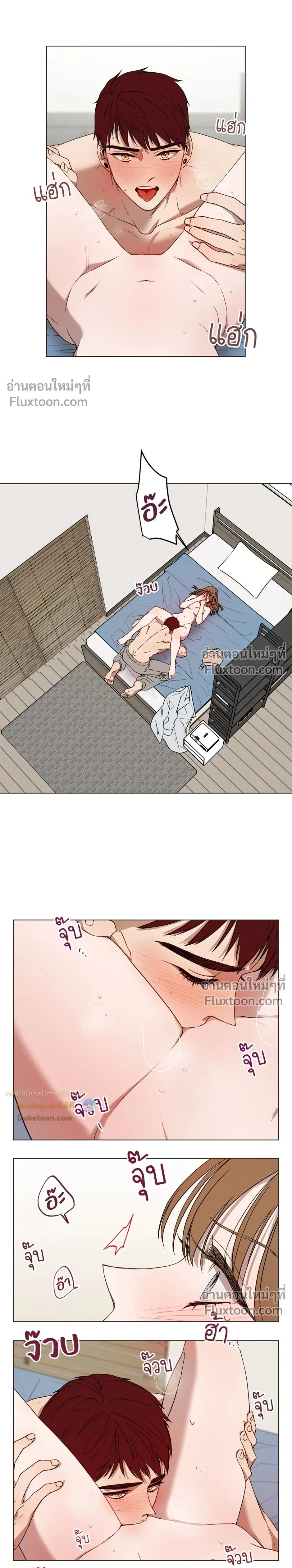 หน้าที่ 13