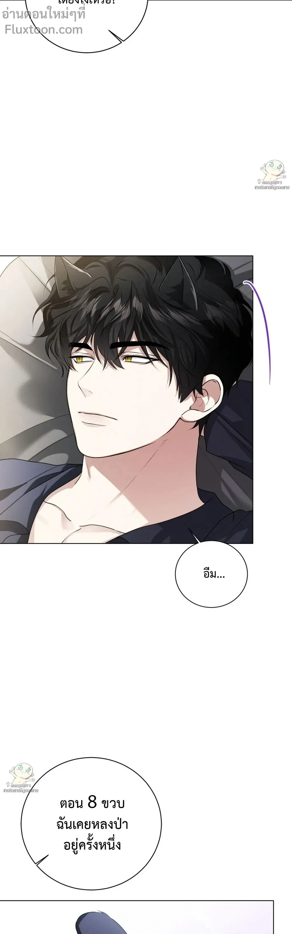 หน้าที่ 19