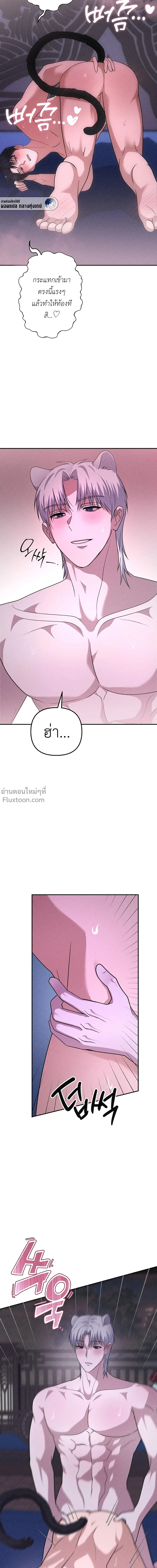 หน้าที่ 14