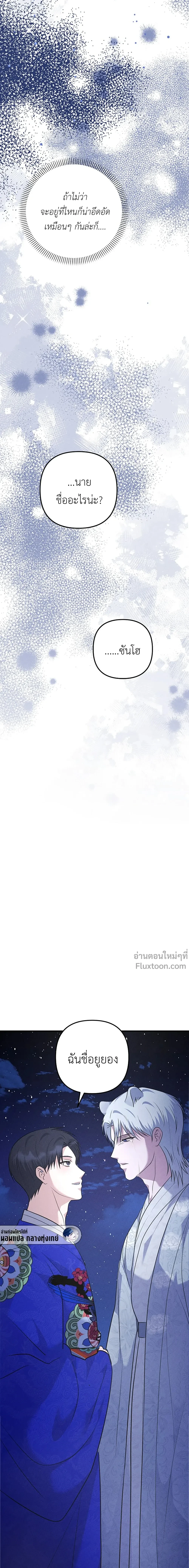 หน้าที่ 29