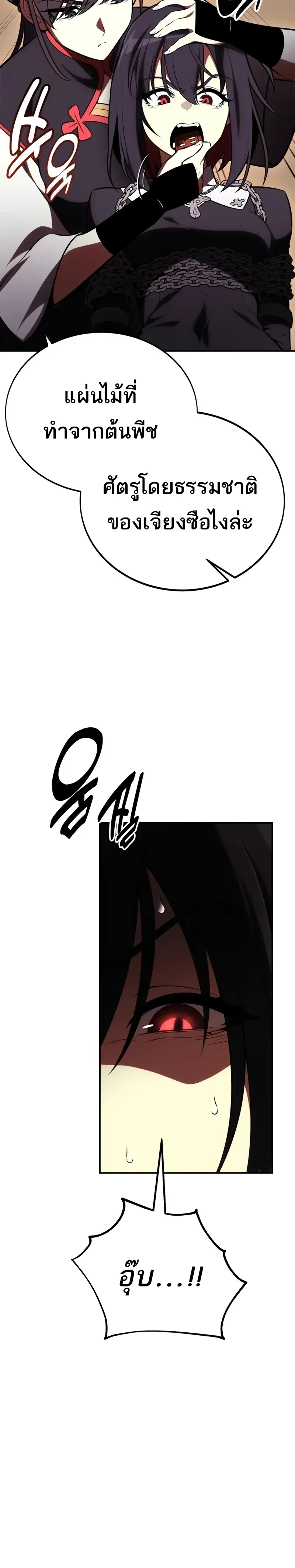 หน้าที่ 33