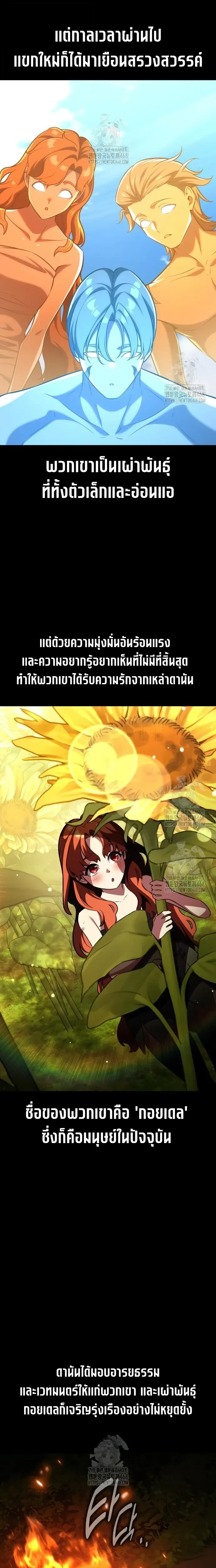 หน้าที่ 3