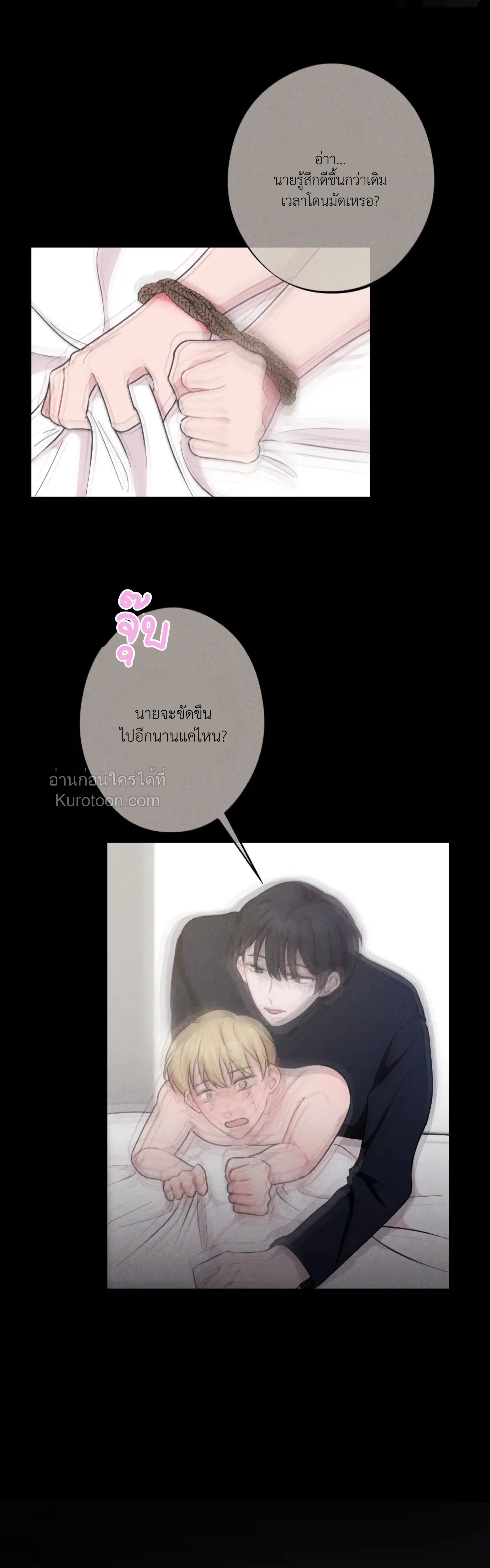 หน้าที่ 29