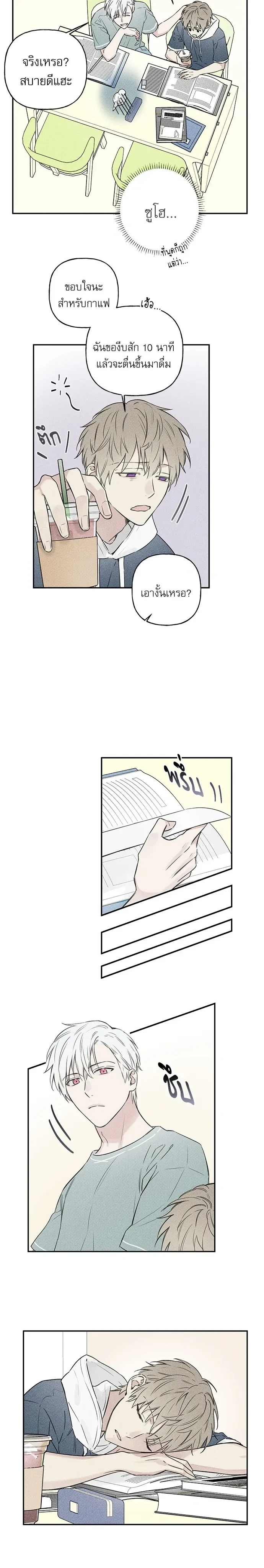 หน้าที่ 6