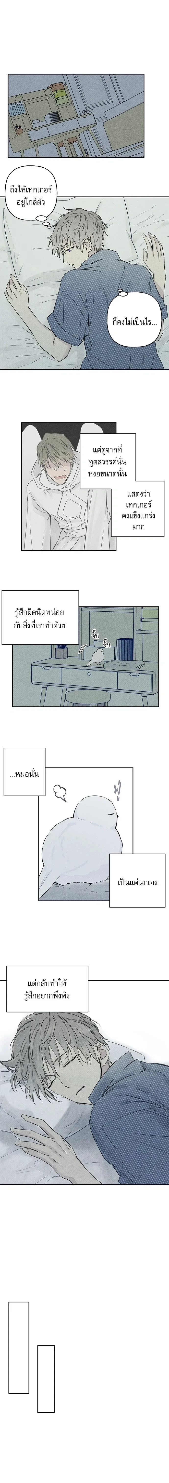 หน้าที่ 8