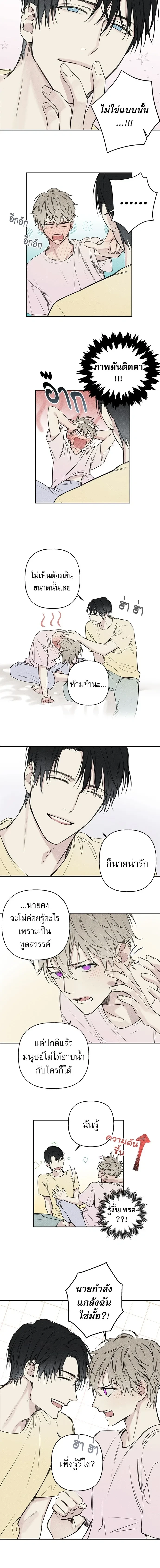 หน้าที่ 4