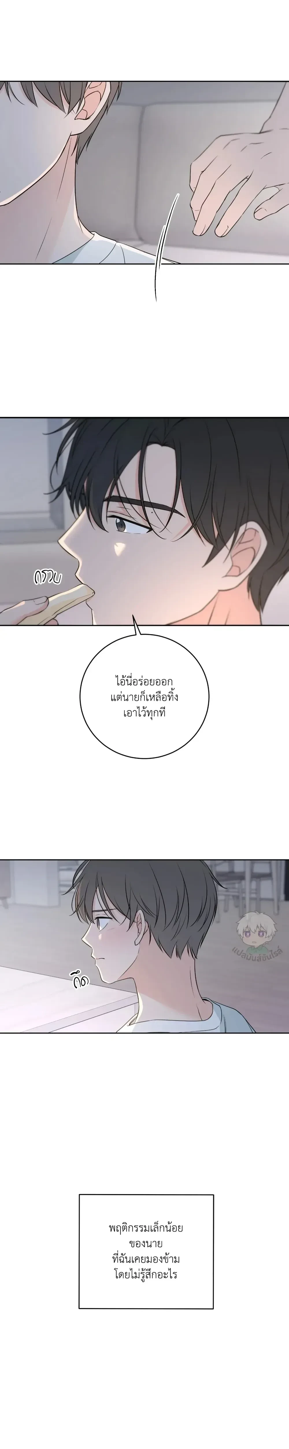 หน้าที่ 17