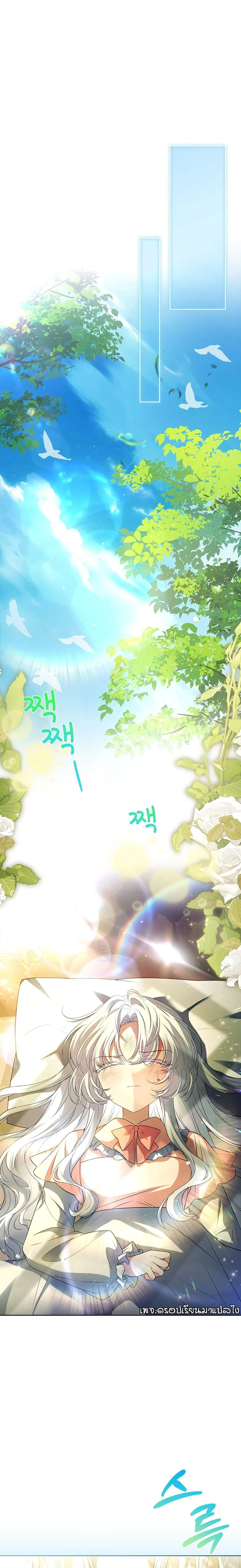 หน้าที่ 19