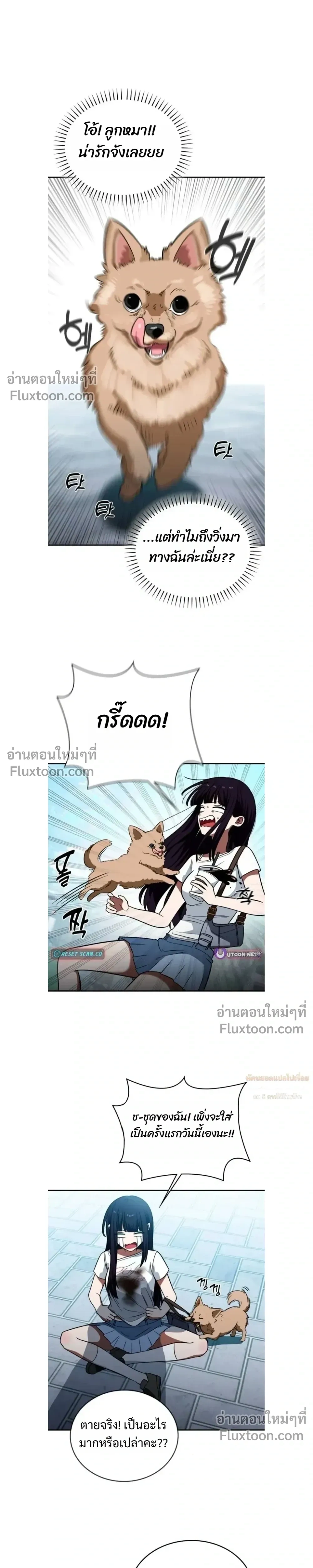 หน้าที่ 3