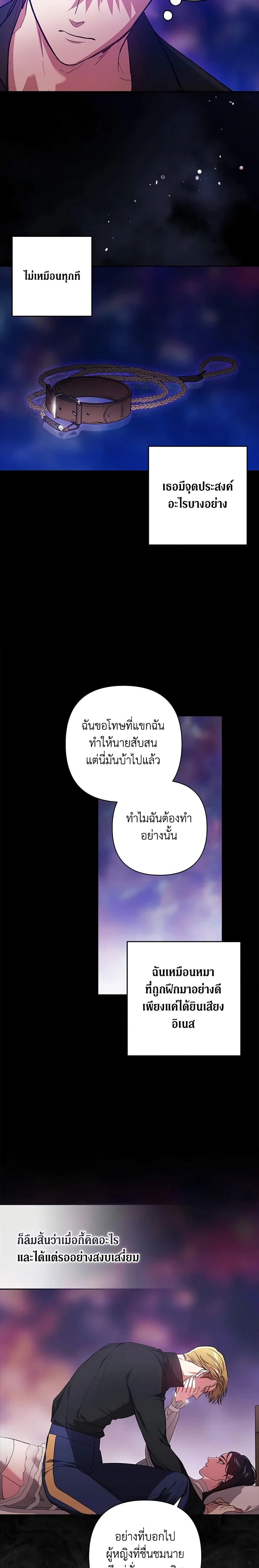 หน้าที่ 17