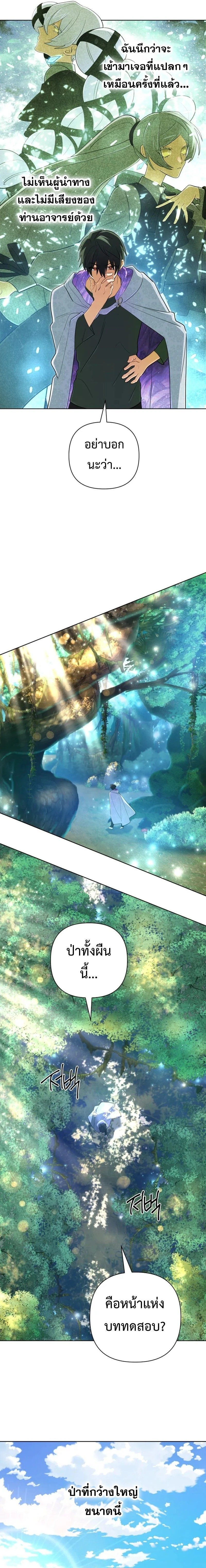 หน้าที่ 13