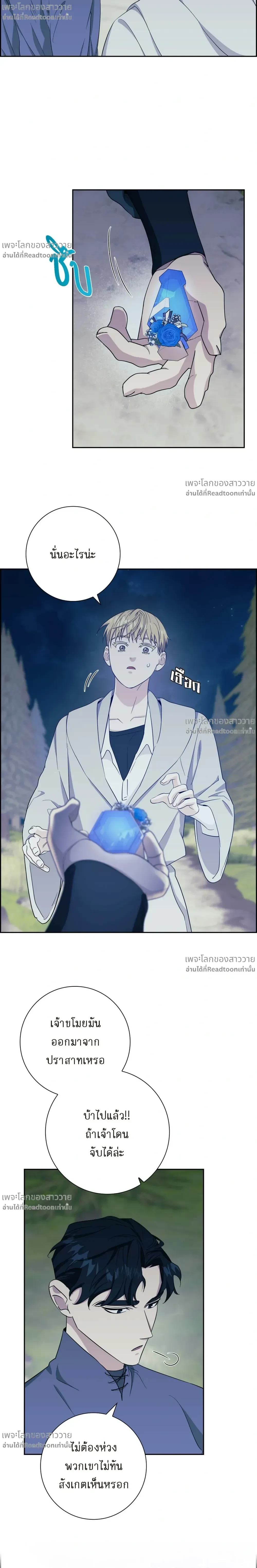 หน้าที่ 17