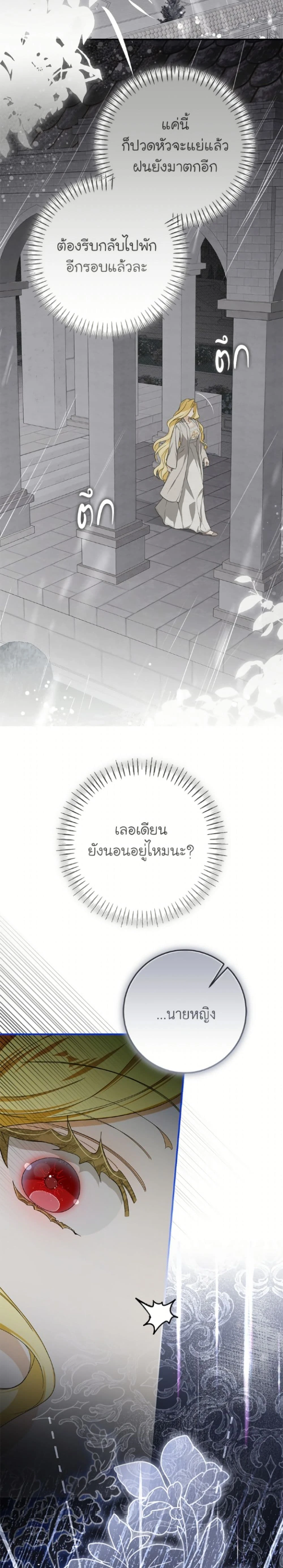 หน้าที่ 29