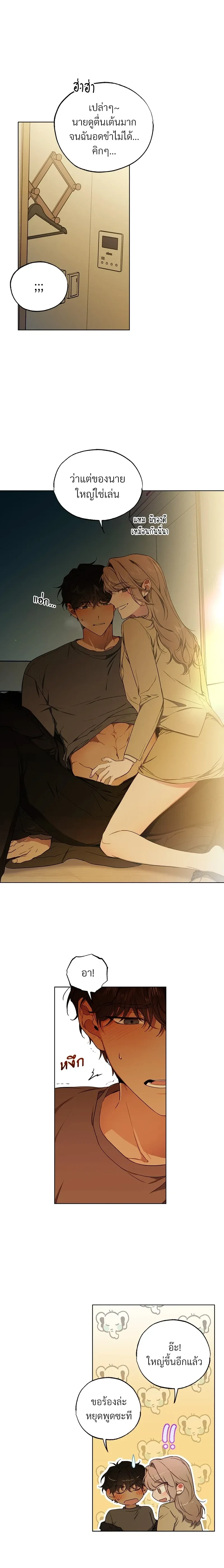 หน้าที่ 11