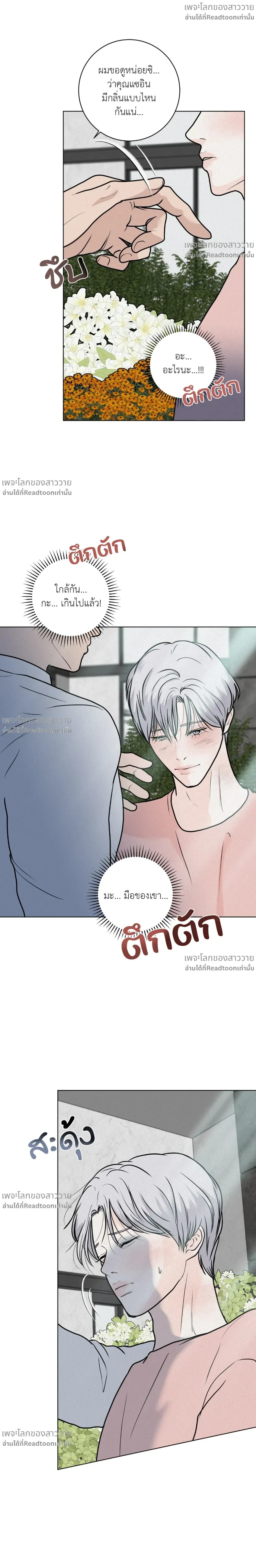 หน้าที่ 13