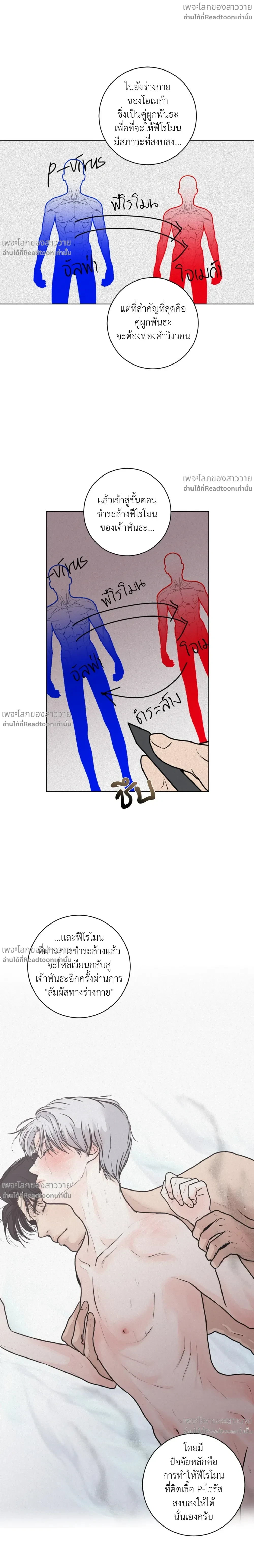 หน้าที่ 3