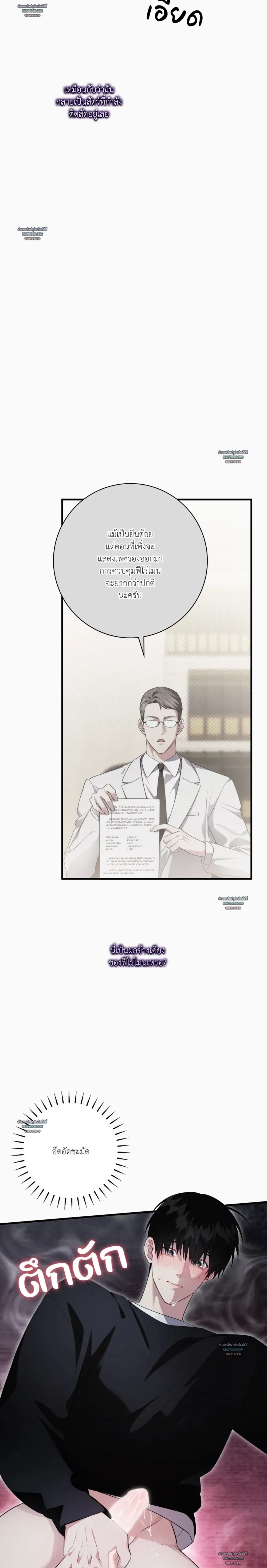 หน้าที่ 13