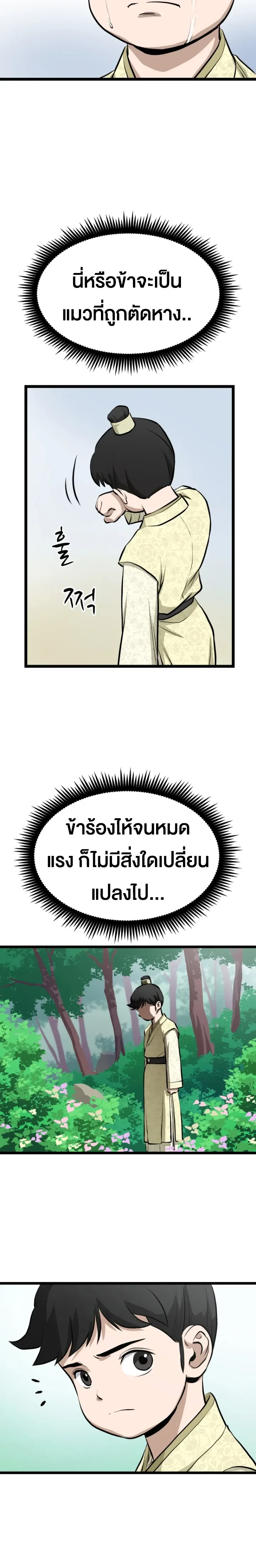หน้าที่ 29