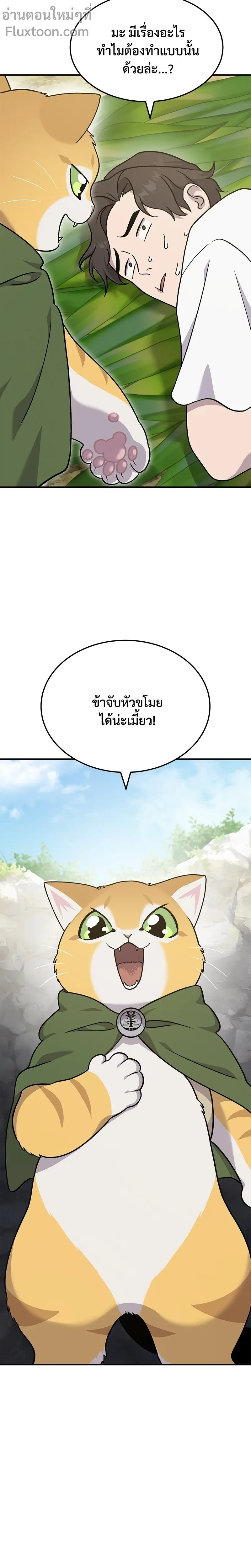 หน้าที่ 21