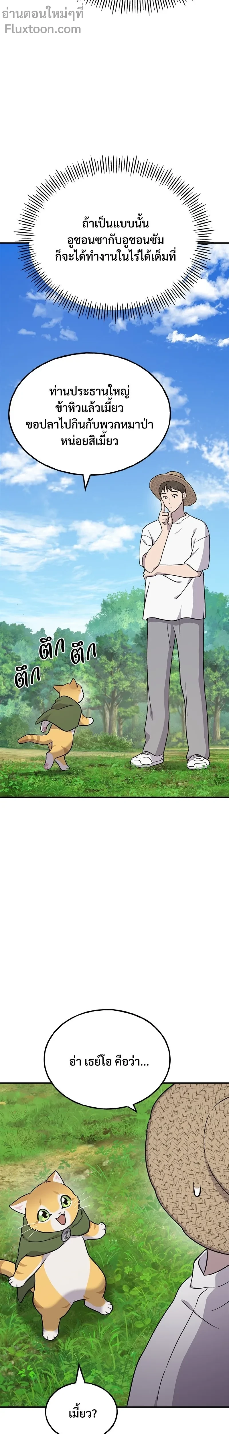 หน้าที่ 29