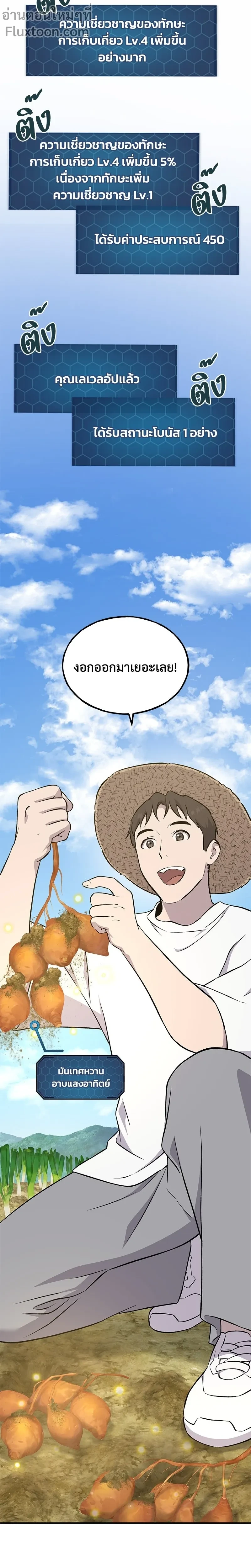 หน้าที่ 13