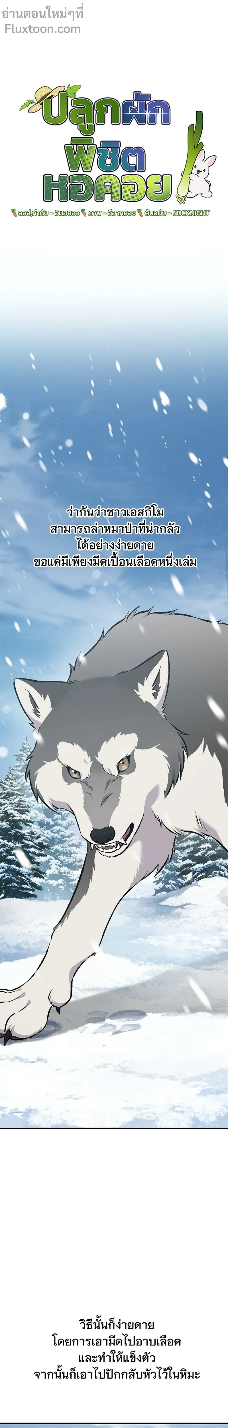 หน้าที่ 13