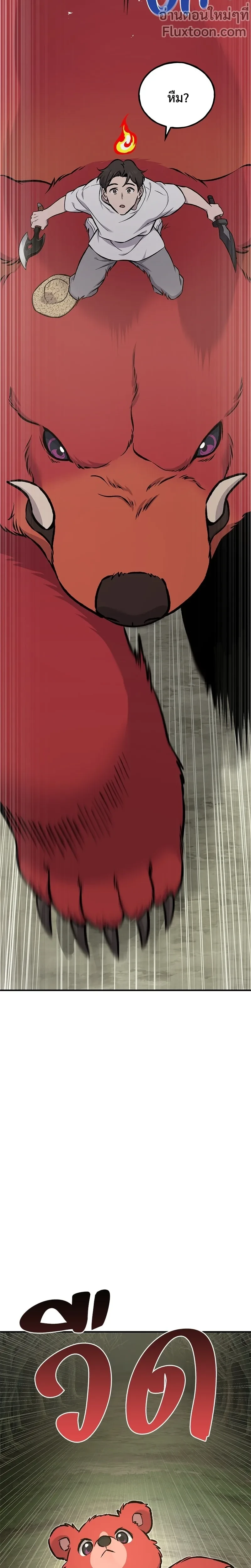 หน้าที่ 29