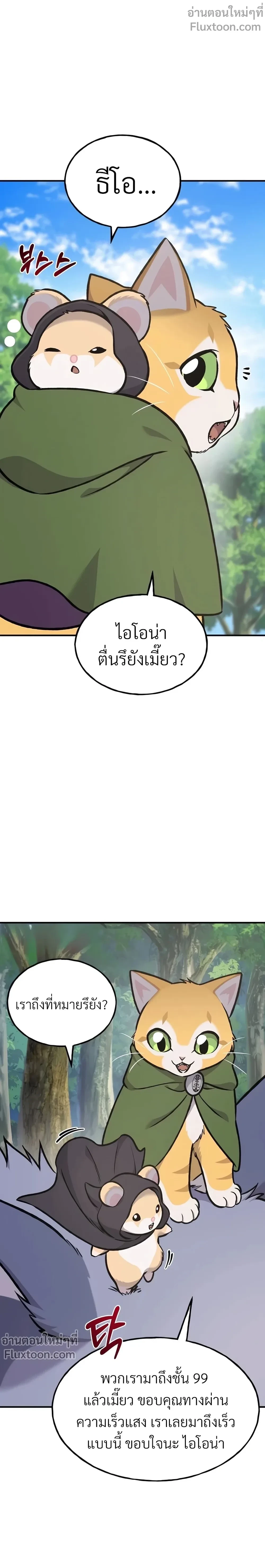 หน้าที่ 33