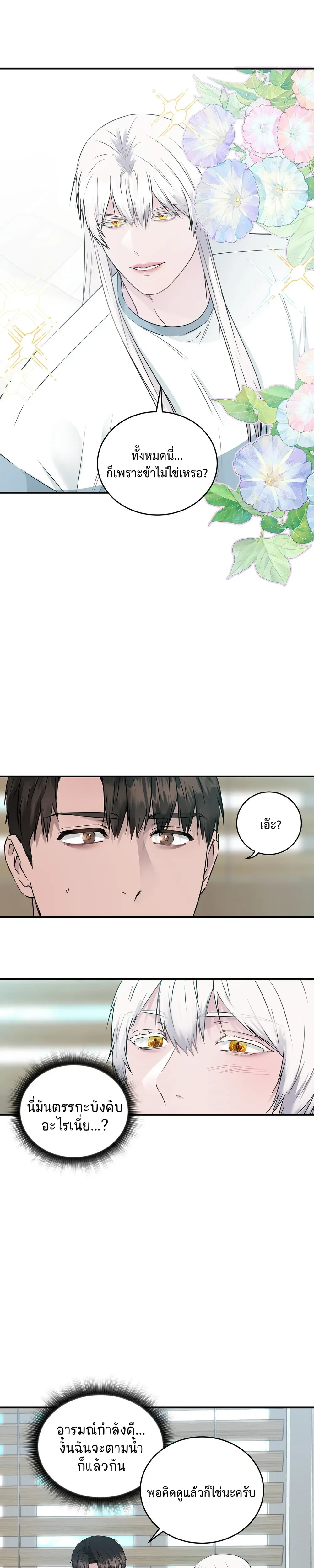 หน้าที่ 24