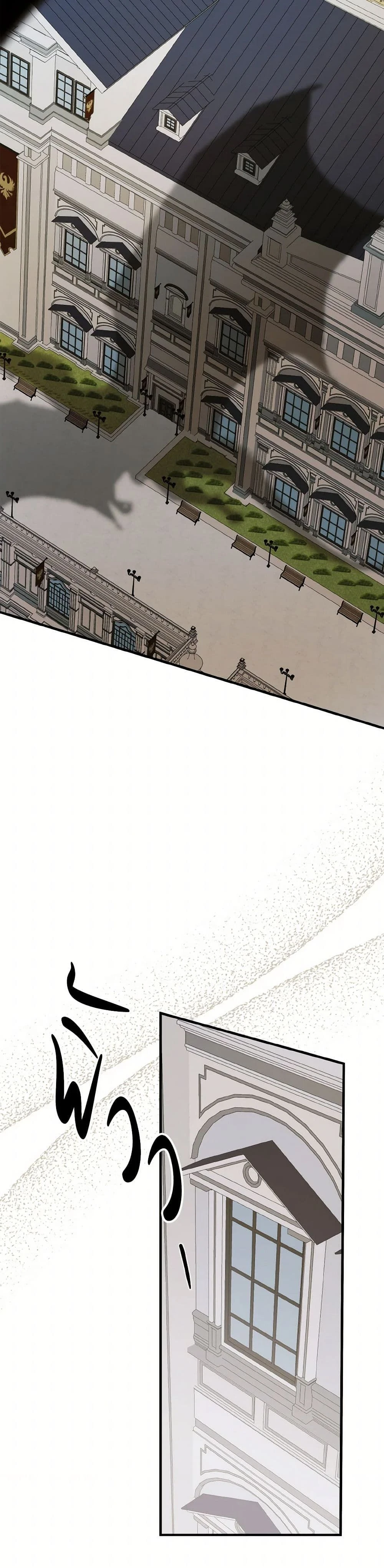 หน้าที่ 41