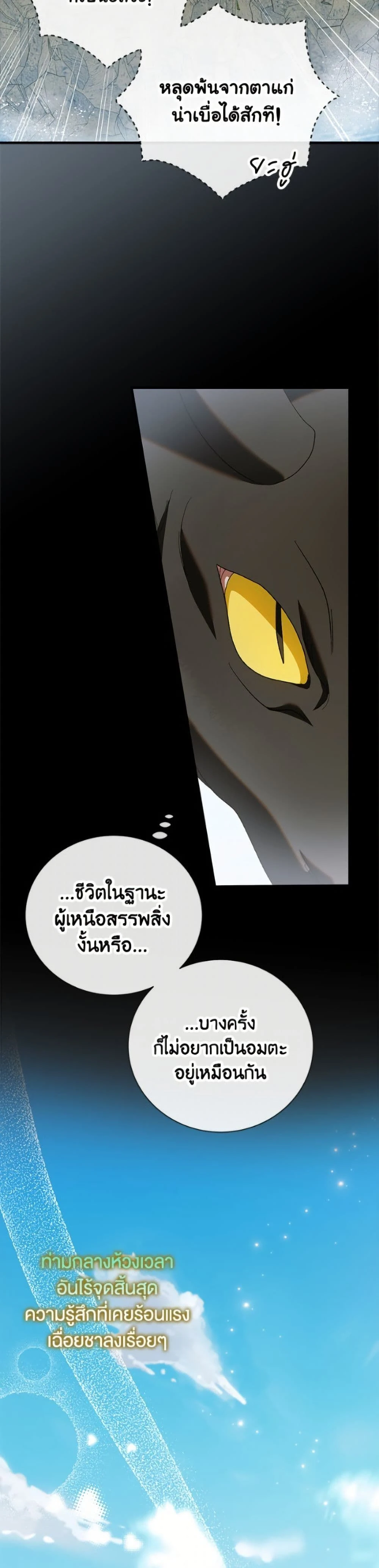 หน้าที่ 41