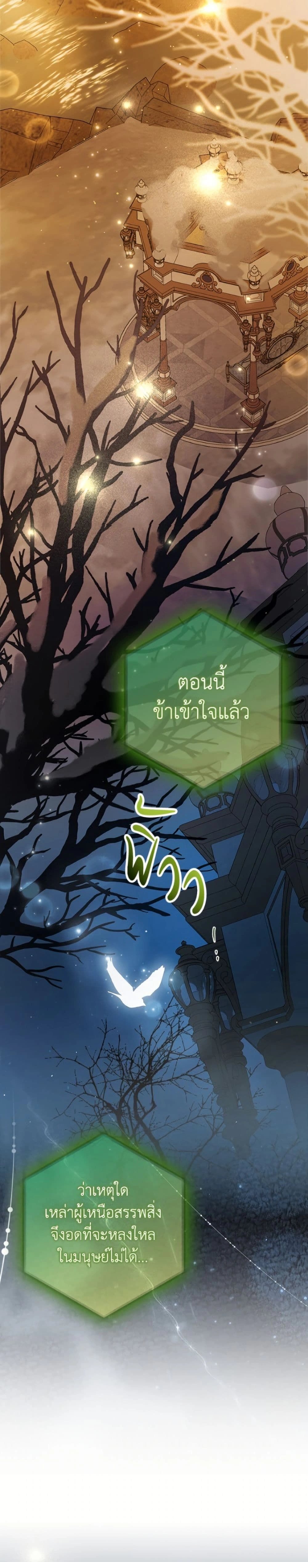 หน้าที่ 41