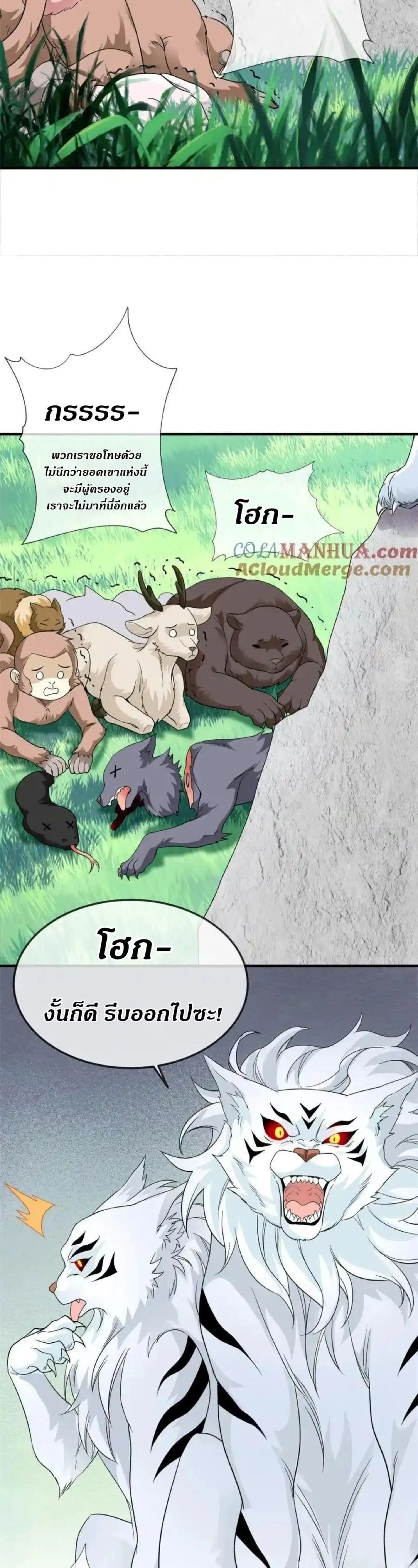 หน้าที่ 11