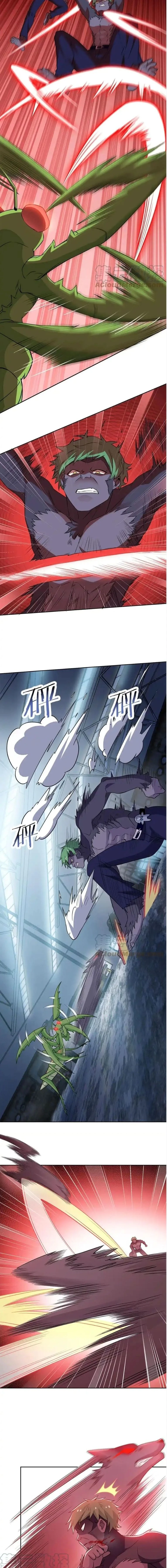 หน้าที่ 5