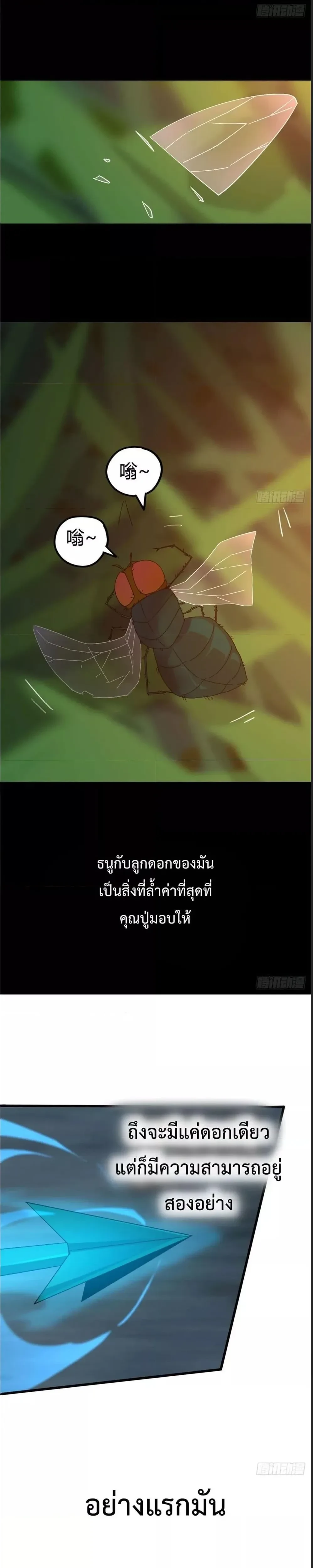 หน้าที่ 13