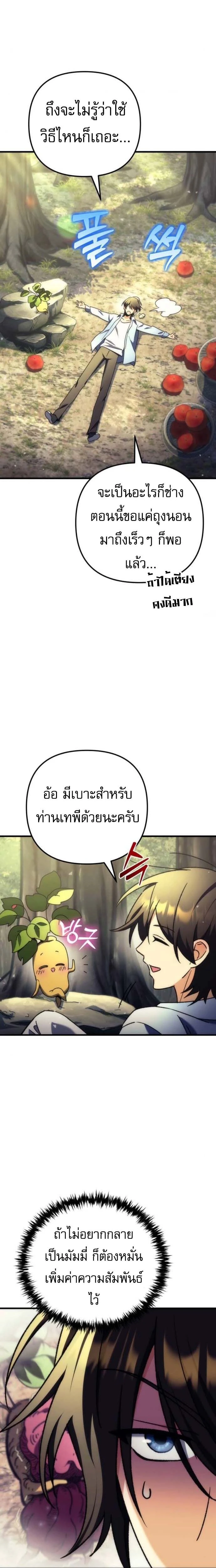 หน้าที่ 30