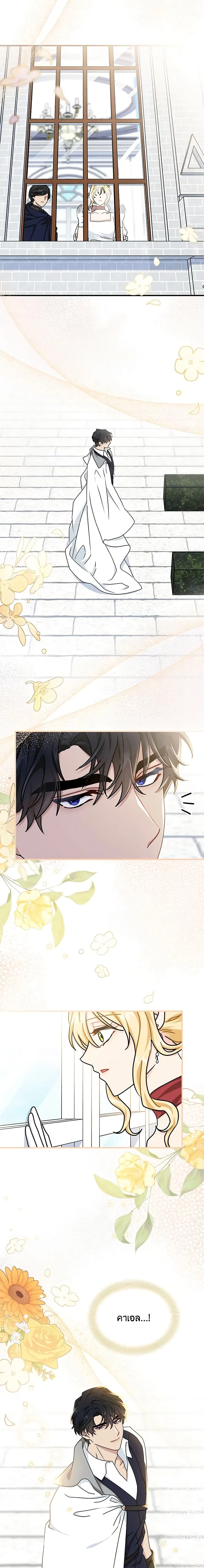 หน้าที่ 11