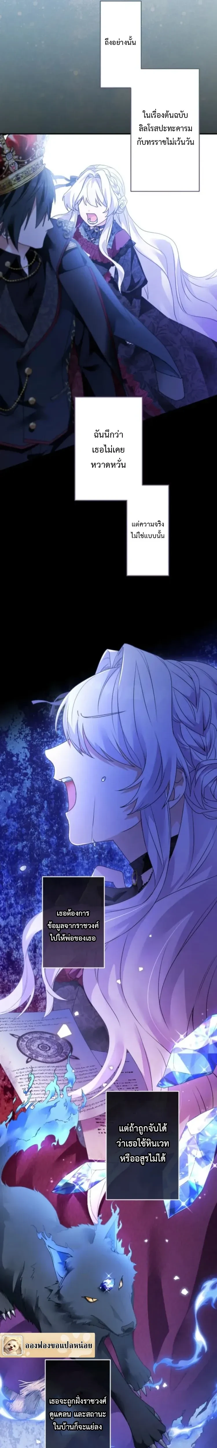 หน้าที่ 13