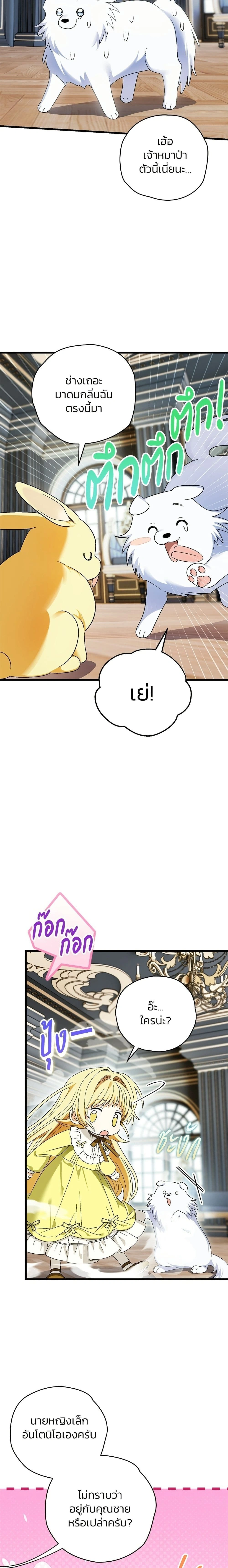 หน้าที่ 19