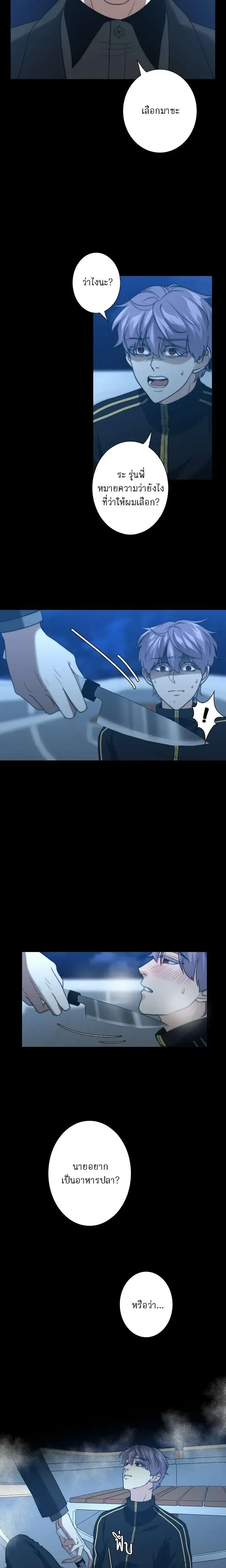 หน้าที่ 13