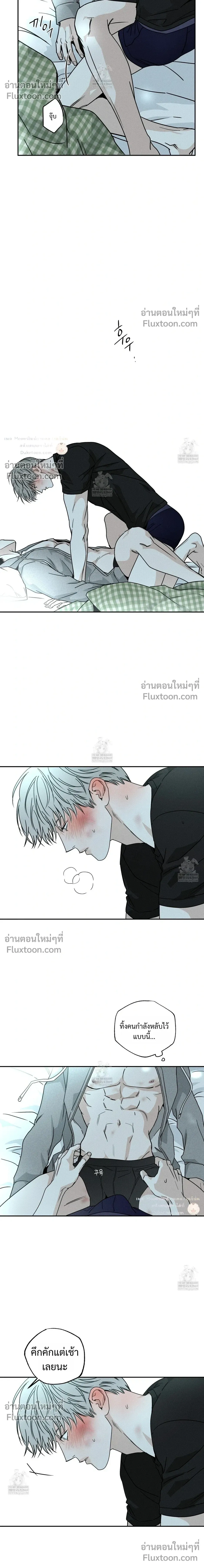 หน้าที่ 13