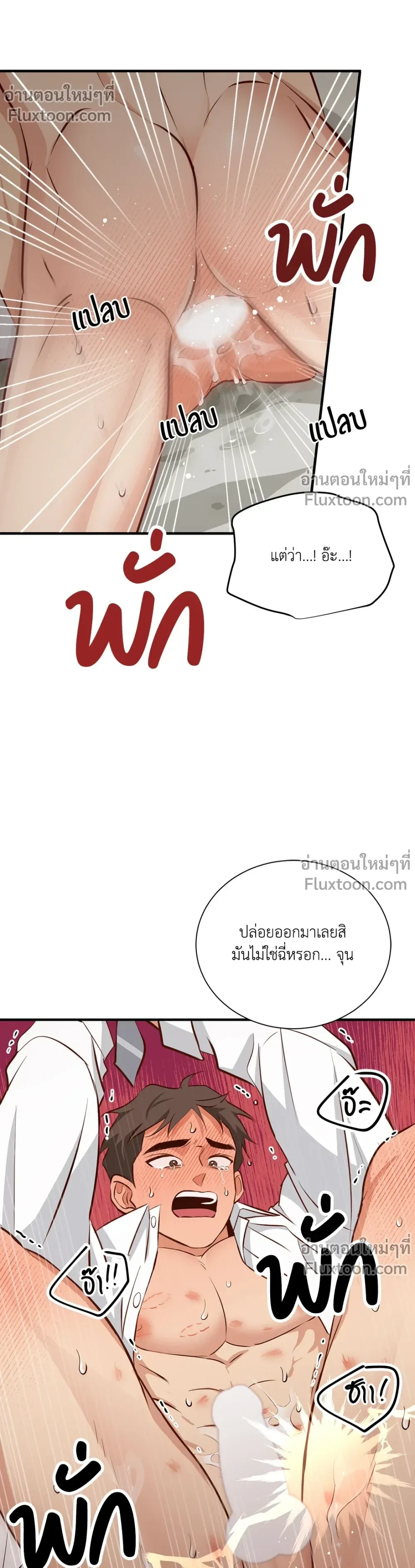 หน้าที่ 17